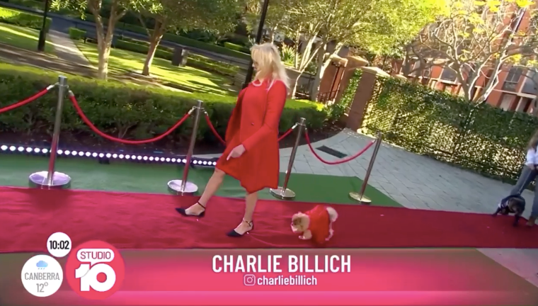 Channel 10: Red Carpet - The Dog Lovers Show